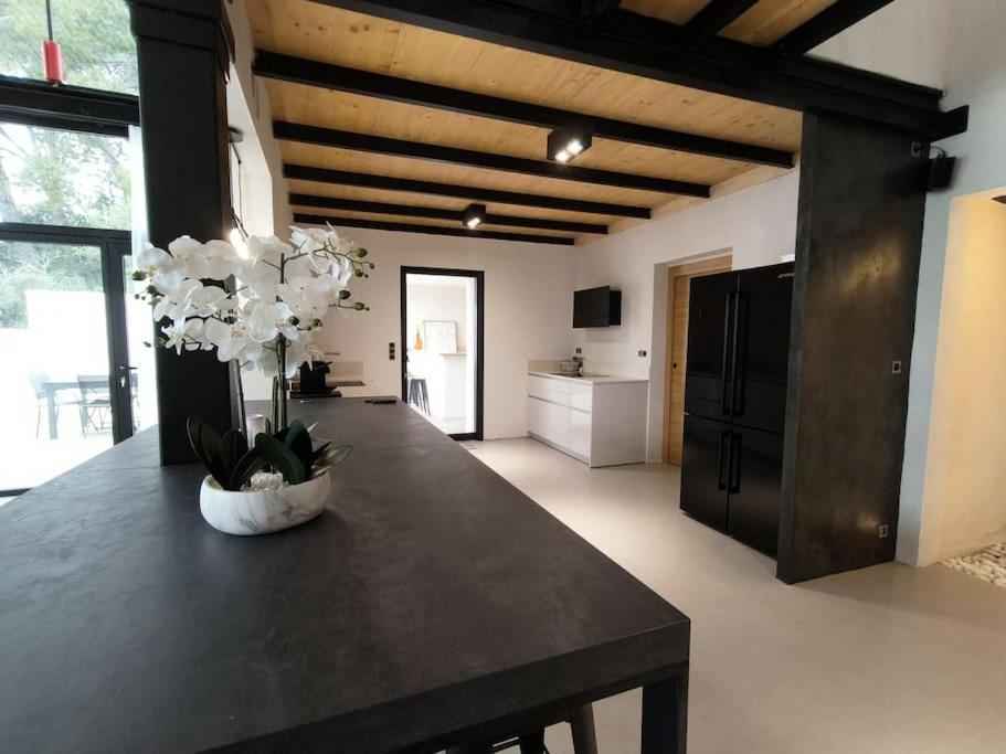 Industrial Luxury Nimes & Arles Vila Beaucaire  Exterior foto